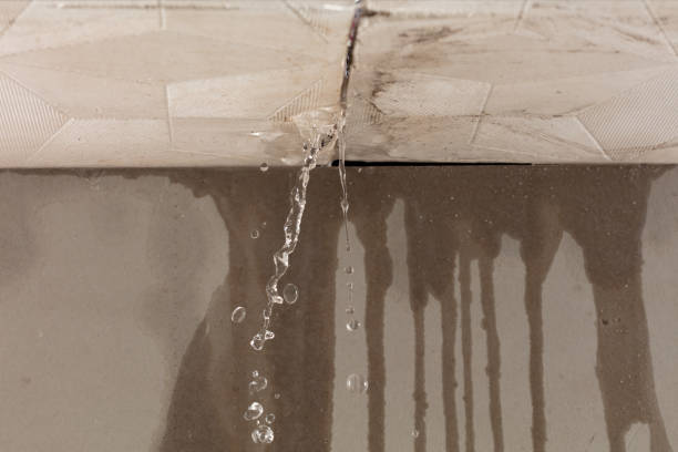 Professional Burst Pipe Cleanup technician working in Holly Bluff, MS